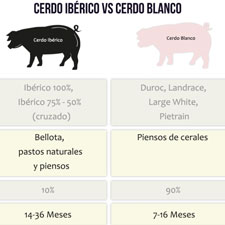 Clasificación del jamón: Diferencias Jamón Ibérico y Jamón Blanco